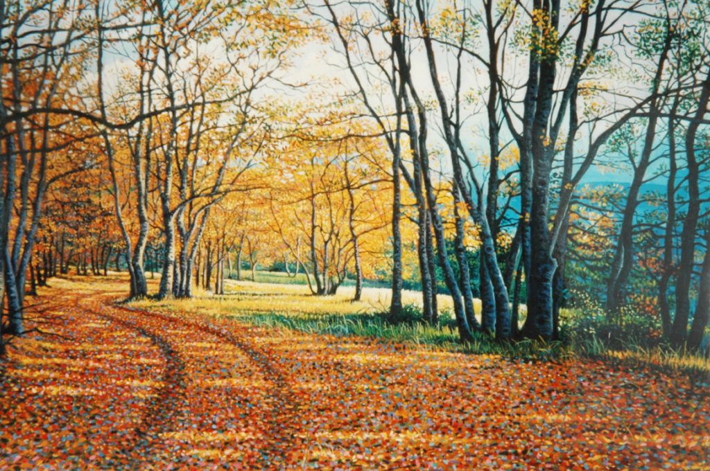 La selva di Barisciano